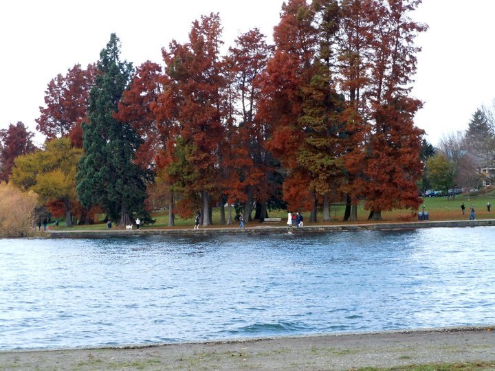 image of greenlake park in fall https://www.google.com/url?sa=i&url=https%3A%2F%2Fwww.mountaineers.org%2Factivities%2Froutes-places%2Fgreen-lake-seattle&psig=AOvVaw3qEKnr5dGYSWbjb6CTE1fn&ust=1764961246780000&source=images&cd=vfe&opi=89978449&ved=0CBUQjhxqFwoTCIDP2ZLPpJEDFQAAAAAdAAAAABAE